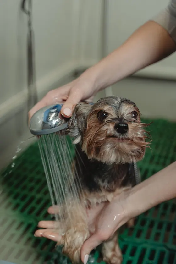 Warm bath, gentle rinse