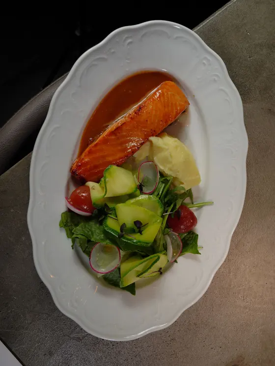 Plated salmon with fresh salad and radishes